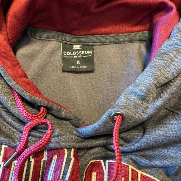 Florida State Seminoles Colosseum Grey Hoodie Men S - Picture 3 of 5